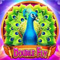 Double Fly Double Fly