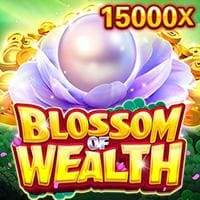 Blossom Wealth Blossom Wealth