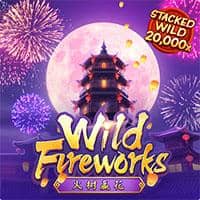 Wild Fireworks Wild Fireworks